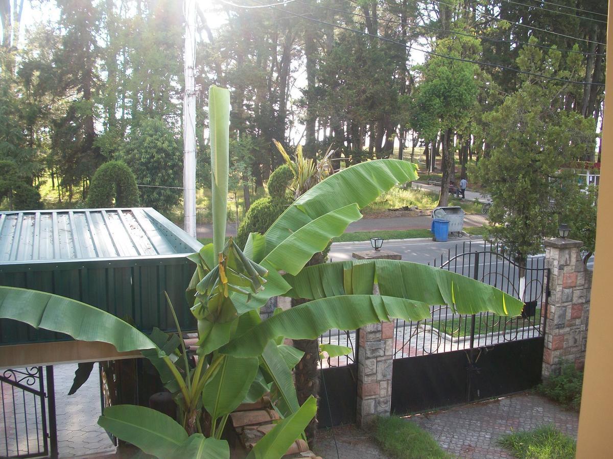 Magnolia Hotel Agmashenebeli Kobuleti Esterno foto