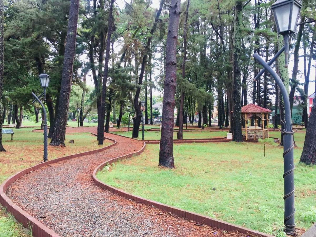Magnolia Hotel Agmashenebeli Kobuleti Esterno foto